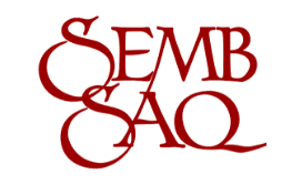 Logo SEMB SAQ